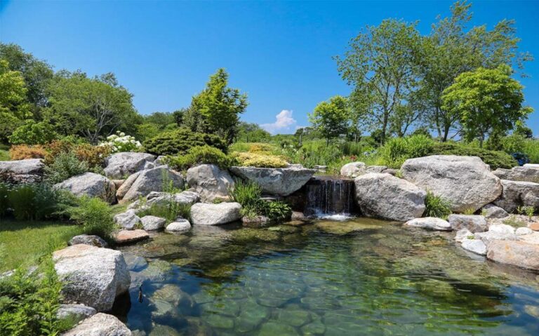 Natural Water Feature Pool Designs