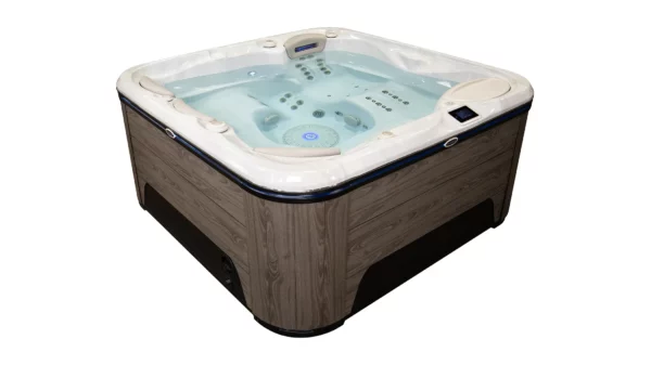 Hydropool Self-Cleaning 455