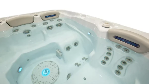 Hydropool Self-Cleaning 455