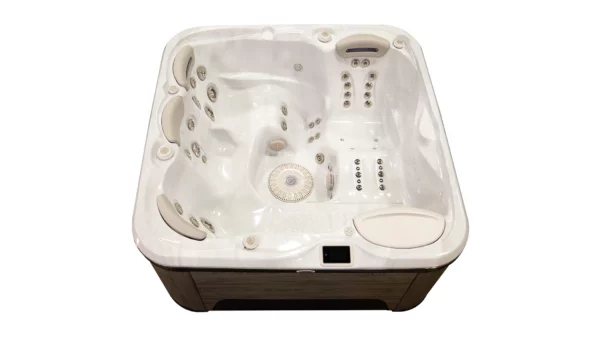 Hydropool Self-Cleaning 455